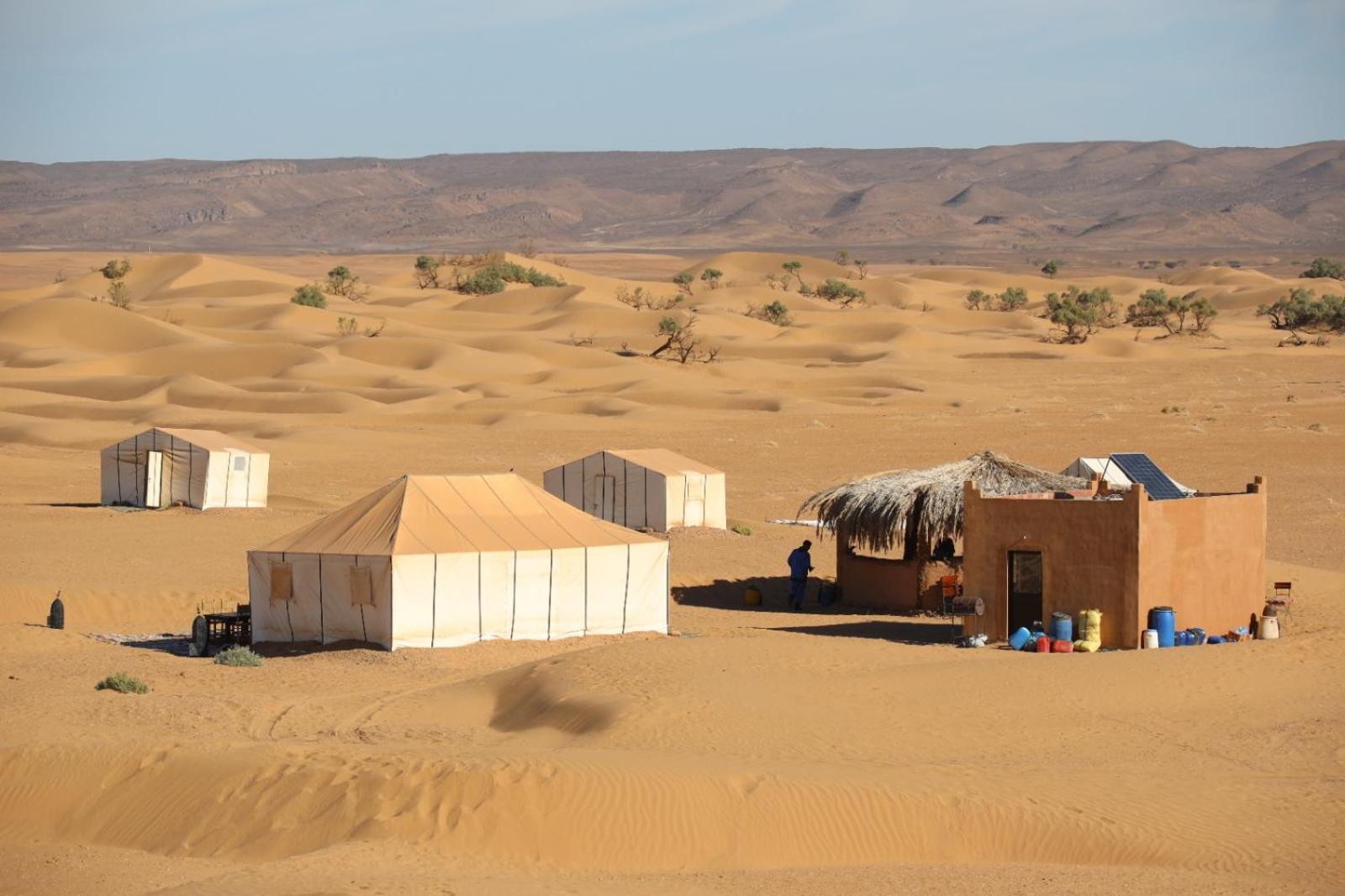 Majorelle Desert Camp Zagora Esterno foto