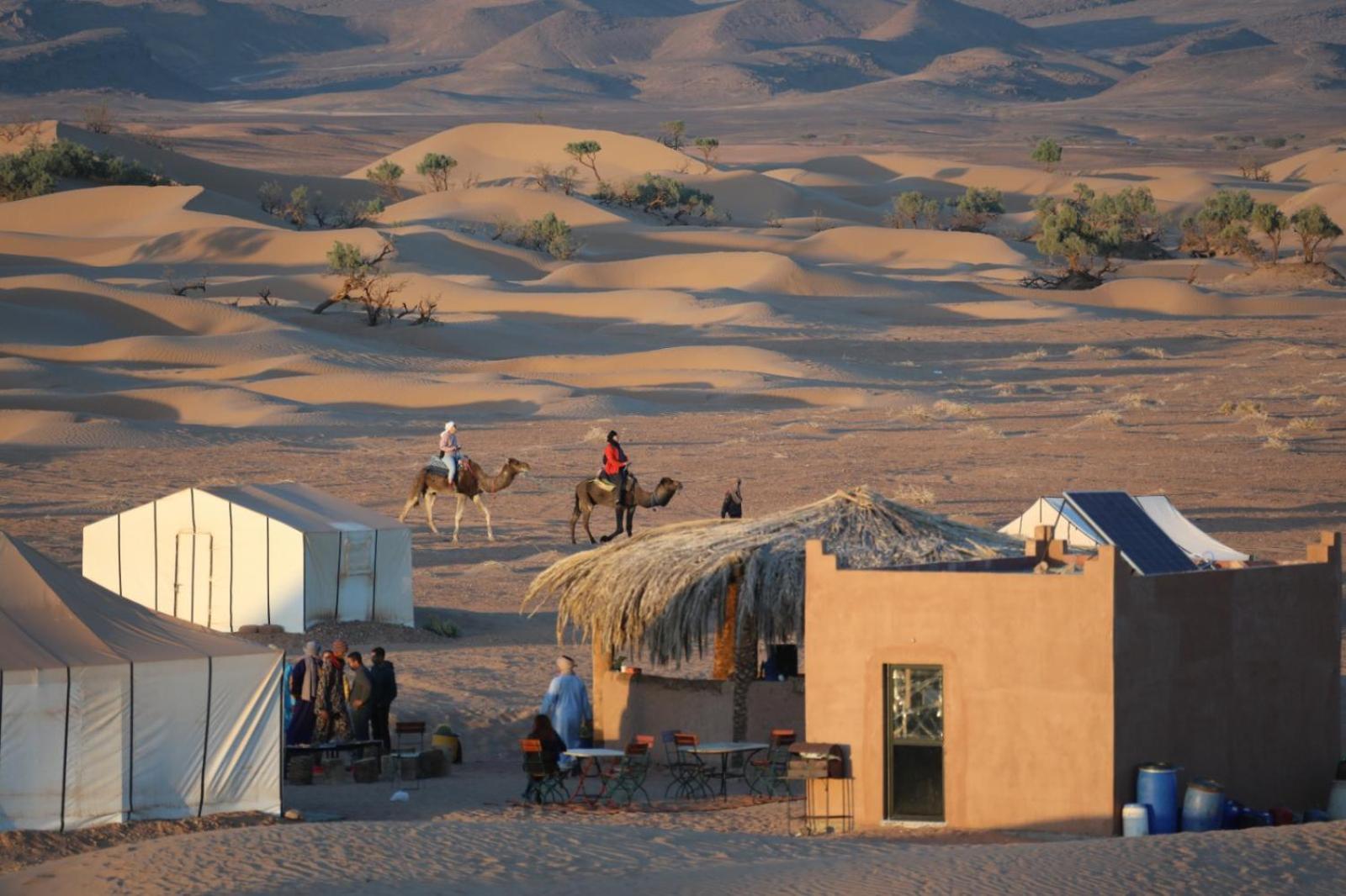 Majorelle Desert Camp Zagora Esterno foto