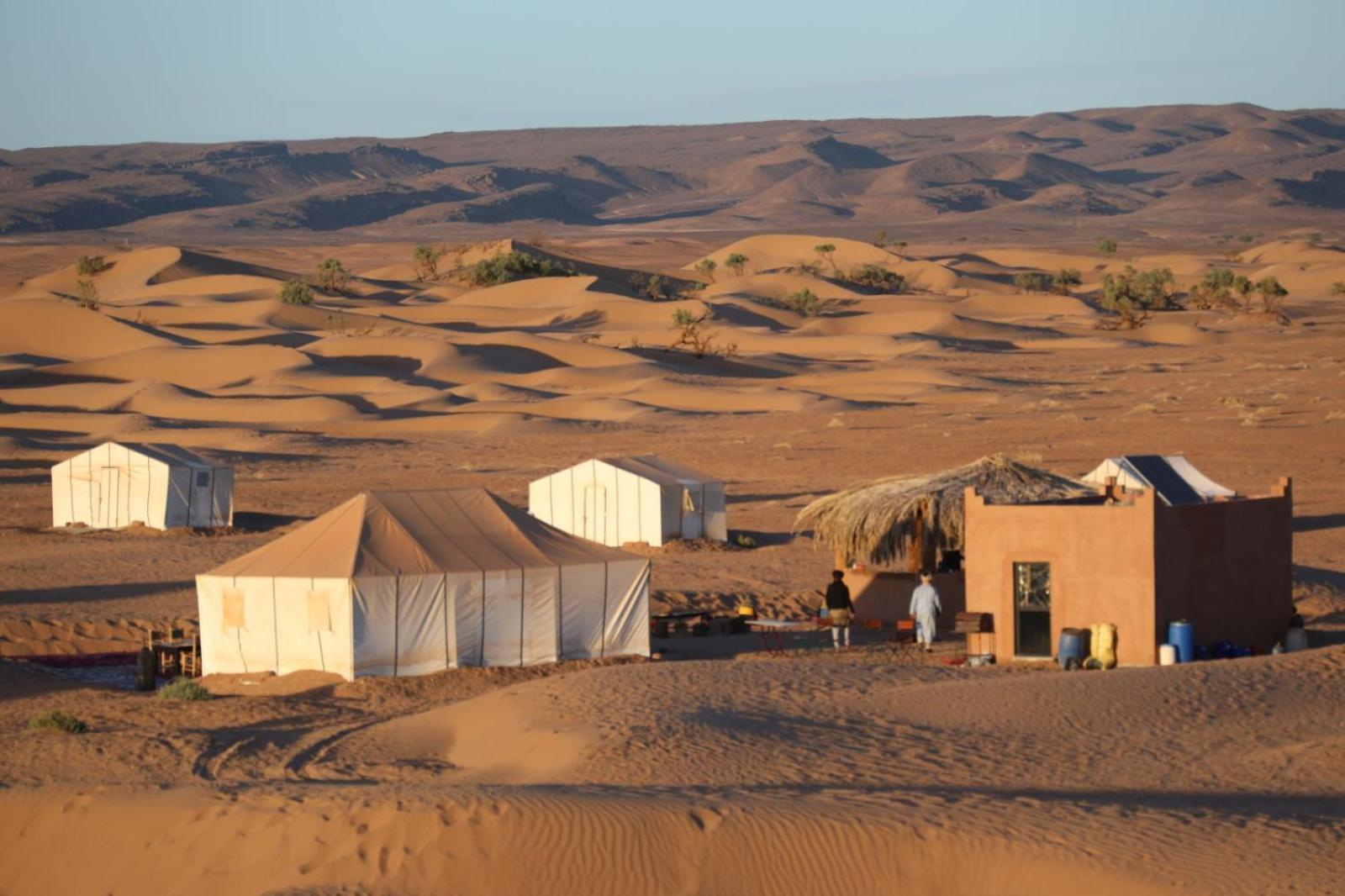 Majorelle Desert Camp Zagora Esterno foto