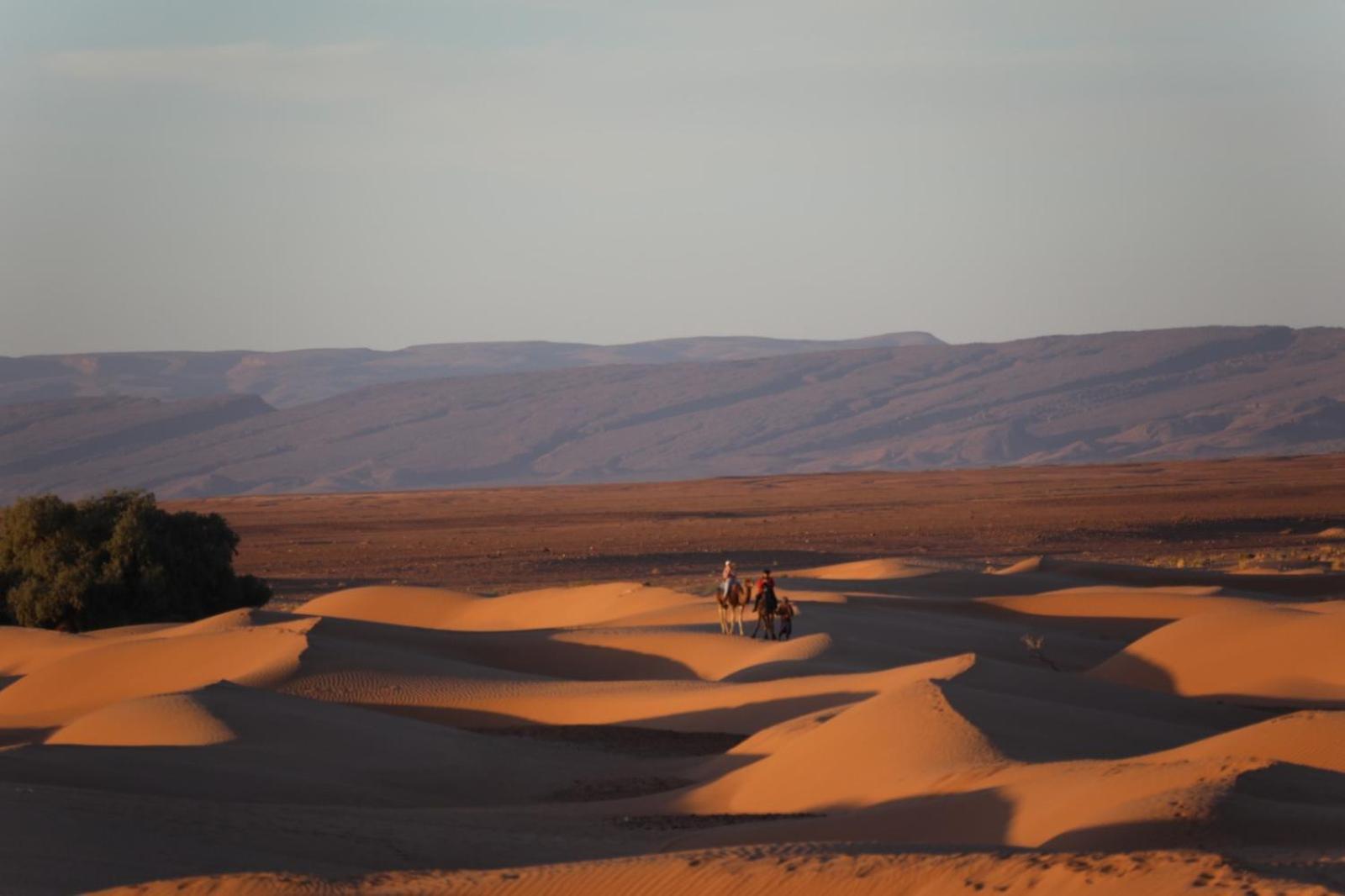 Majorelle Desert Camp Zagora Esterno foto